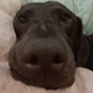 Meet your Posher, Lola